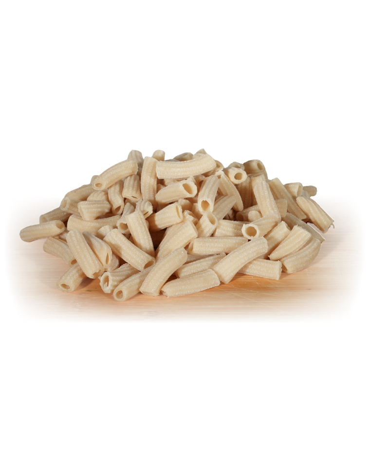 Tortiglioni